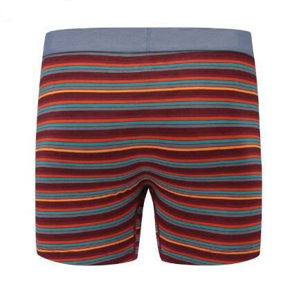Striped men's nylon underwear