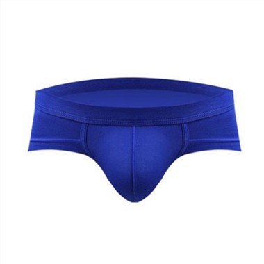 Sexy Plus Size Slip Modal Men's Underwear